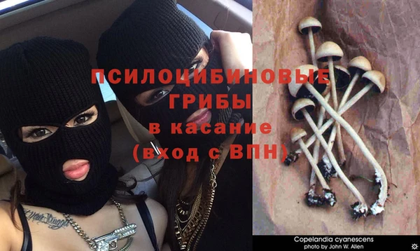 гашик Балабаново